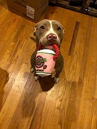 michael2954 profile photo