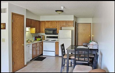 dburns2 profile photo