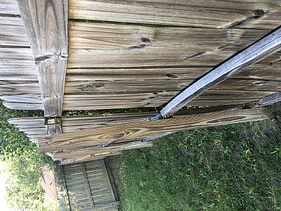 lippincottjd profile photo