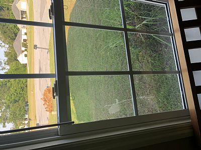 lippincottjd profile photo