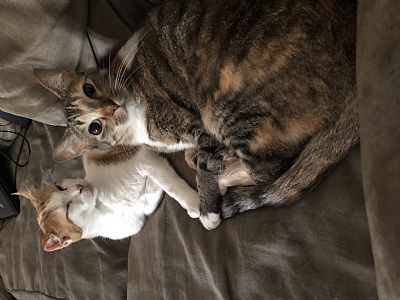 Tristinr profile photo