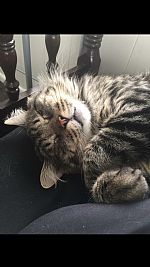 Tristinr profile photo