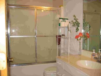 4508339 profile photo