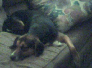 cecelyn2313 profile photo