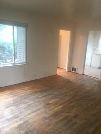 denisejn profile photo