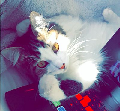 eduty97 profile photo