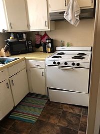 ShanniSkinner3 profile photo