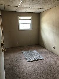 ShanniSkinner3 profile photo