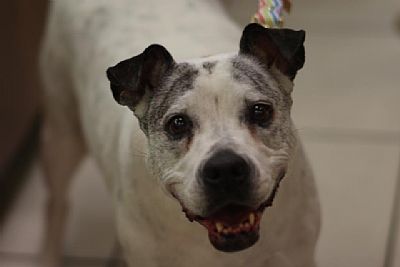 kjohn099 profile photo