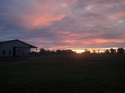 godivalocks profile photo