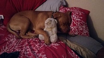 T_pinks profile photo