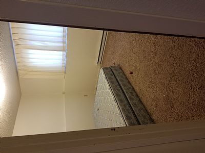 nessamachon profile photo