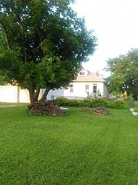 Mickilee profile photo