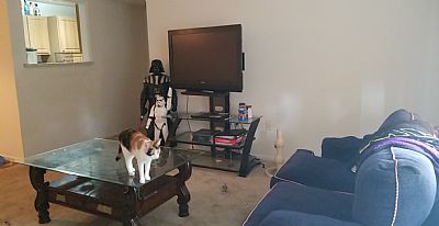 Leahjohns profile photo