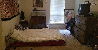 Leahjohns profile photo