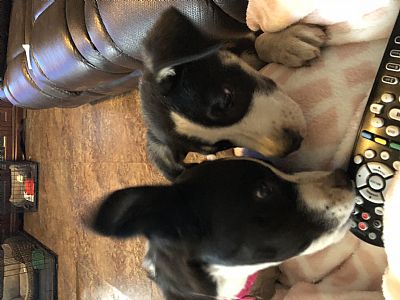 Cprochko profile photo