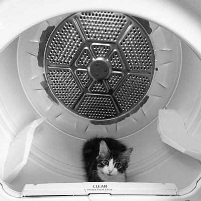 Krys5678 profile photo