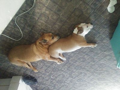 WesRenbarger profile photo