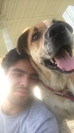 aedmonds profile photo