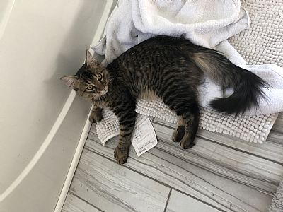 Annaandstarla profile photo