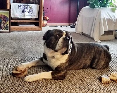 Sonjascherf profile photo