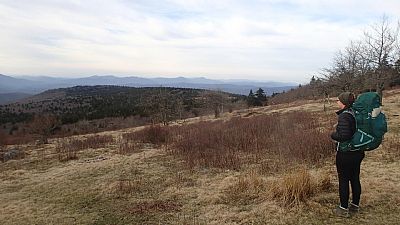 vbowen3 profile photo