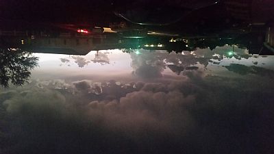 JessLGut profile photo