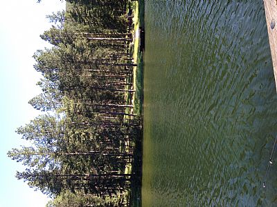 iversale profile photo