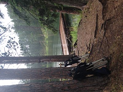 iversale profile photo