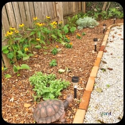 wpross98 profile photo