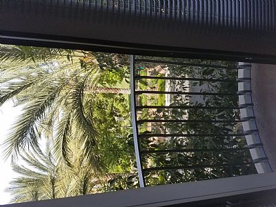 weoconnor profile photo