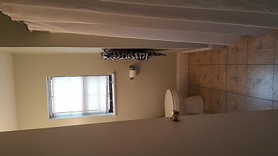 starphish8 profile photo