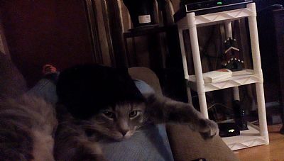 Nickyrose939 profile photo