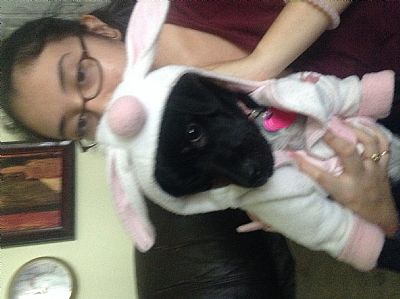 brenmj profile photo