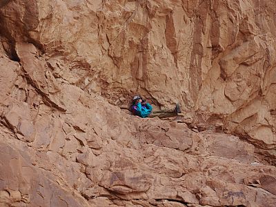 ray_newbalance profile photo