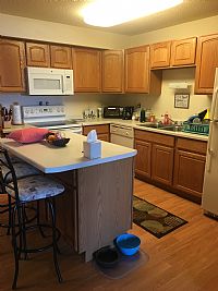 danilea04 profile photo