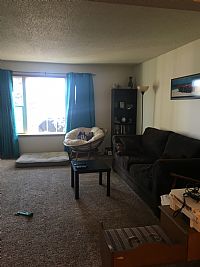 danilea04 profile photo