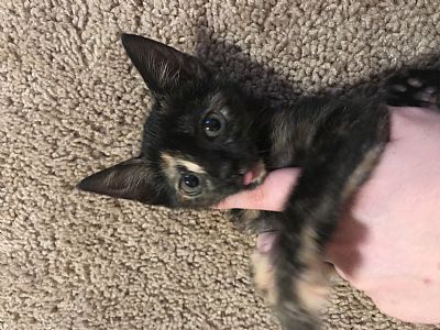 kseeley2014 profile photo