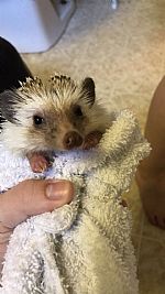 kseeley2014 profile photo