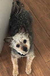 RoseyD profile photo