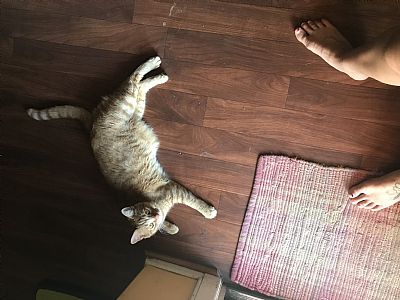 SydneyP97 profile photo