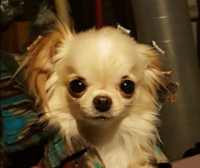 HuckFinn profile photo