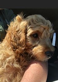 HuckFinn profile photo