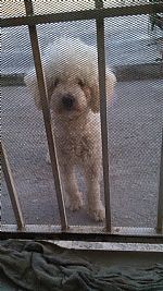 LALI:3 profile photo