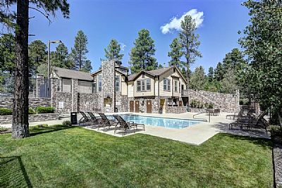 FE Viz profile photo