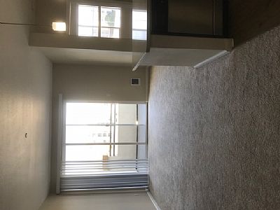 tessacorrie profile photo