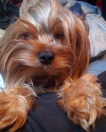 gabriel78 profile photo