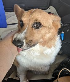 NikoleJay profile photo