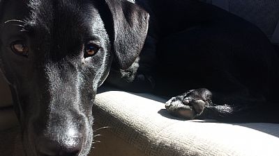 Nicholasbrew profile photo