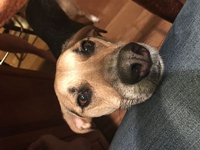 Kewaters2 profile photo